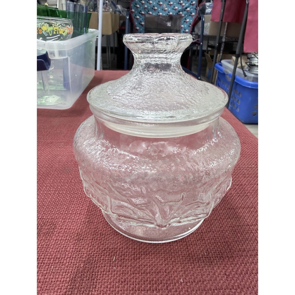 Anchor Hocking Rainflower Vintage Textured Clear Glass Canister Jar